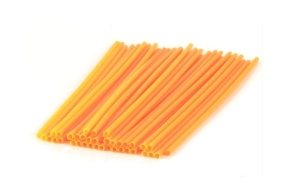 10069
