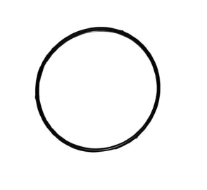 10145