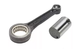 9081